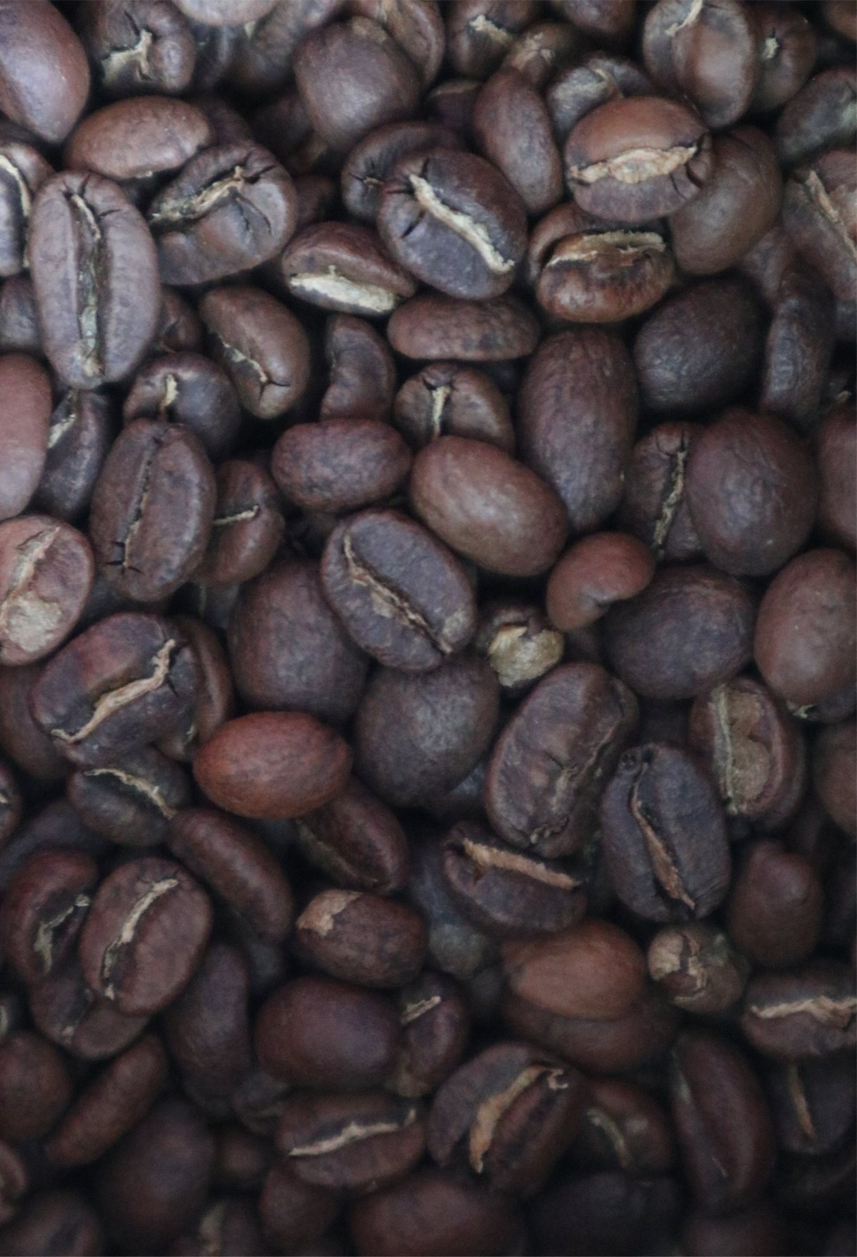 AKI BLEND